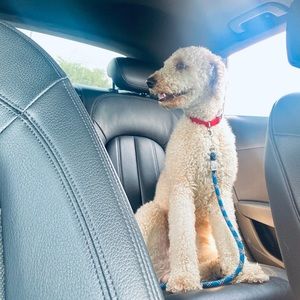 Meet your Posher, Karina